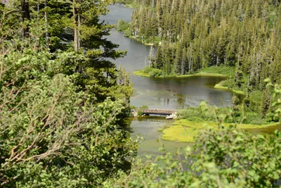 DSC_9999 (Large).JPG